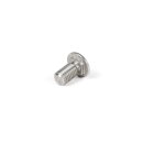 Screw/bolt for BGM PRO stainless wheel rim