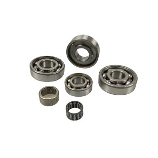 Engine bearing set "JBS" Lui/J50 (with roller bearing)